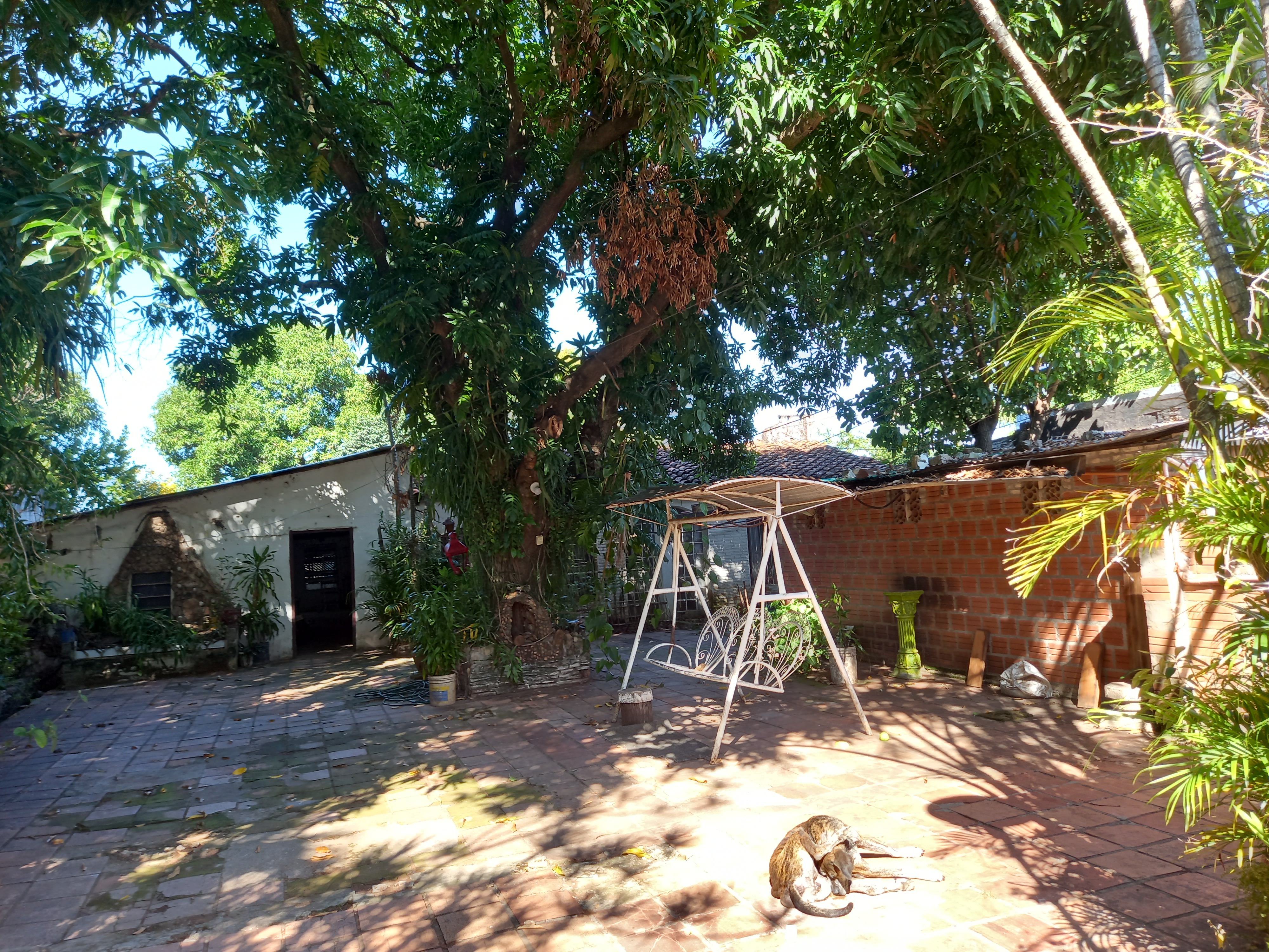 Espectacular terreno de 1.782 m2 en Campo Grande, Luque. Zona Los jardines express. — foto 3