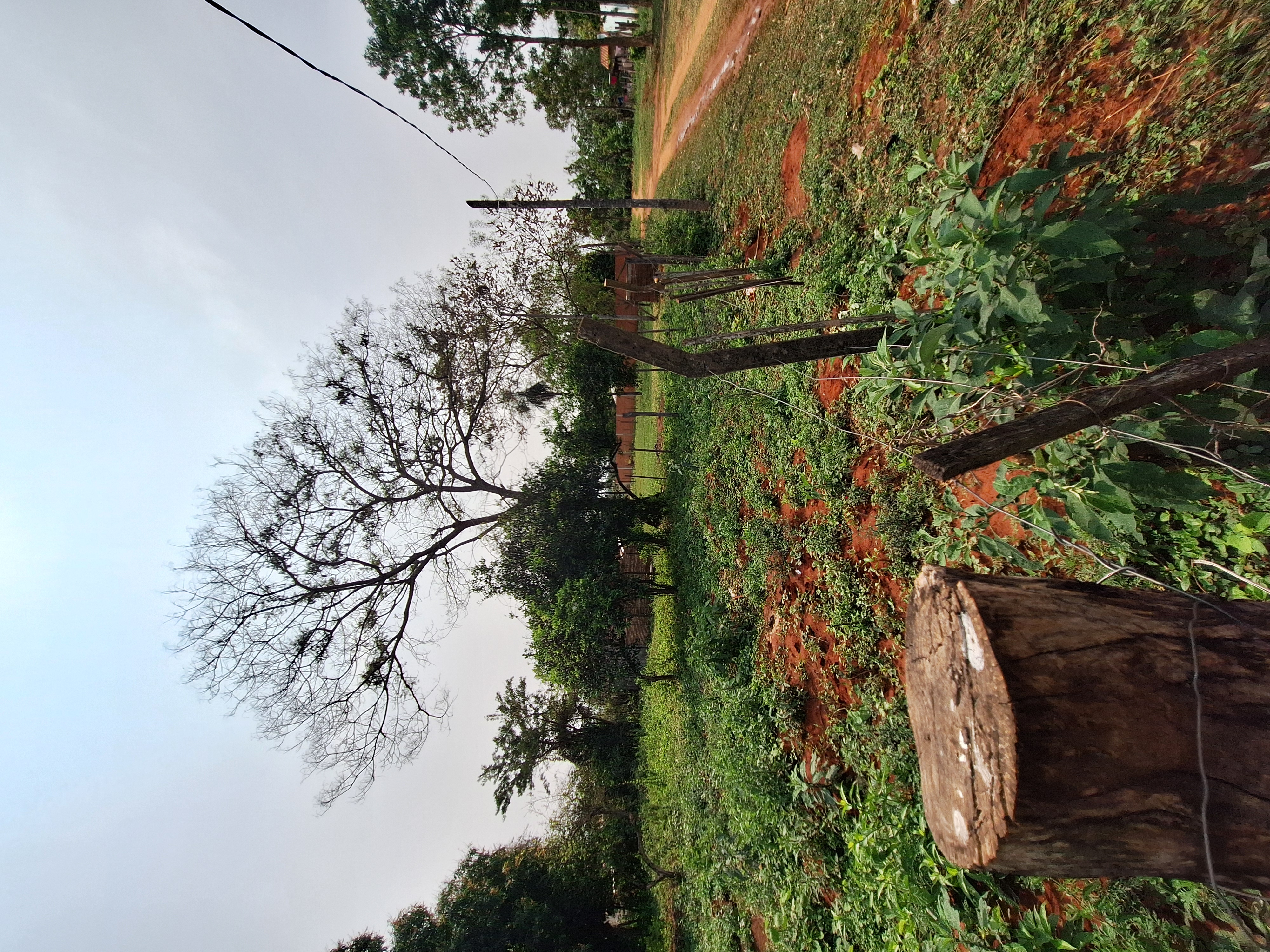 EN VENTA 3 TERRENOS EN KOKUE GUAZU, AREGUA. 1.560 M2 EN TOTAL — foto 2
