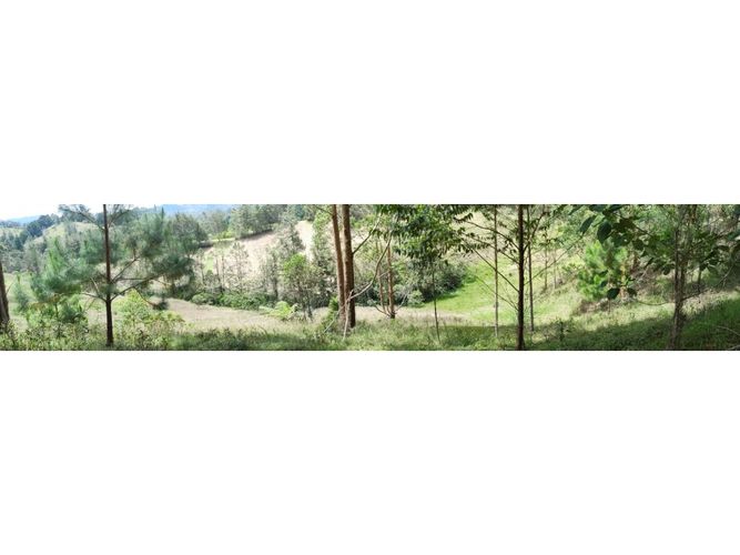 Lote en venta en Pantanillo, El Retiro, 1603 m² · foto 2 de 4