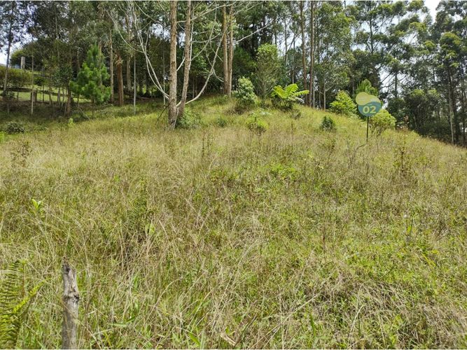 Lote en venta en Pantanillo, El Retiro, 1603 m² · foto 3 de 4