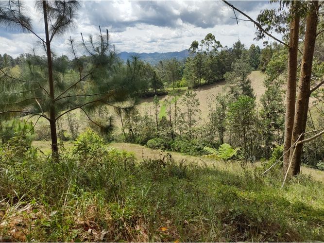 Lote en venta en Pantanillo, El Retiro, 1603 m² · foto 4 de 4