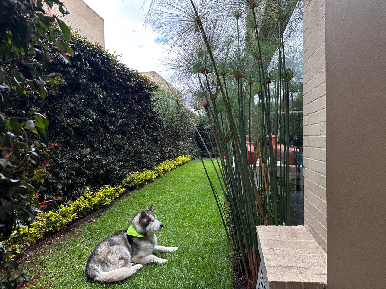 Casa en venta en Vda Canelon, Cajicá · foto 22 de 24