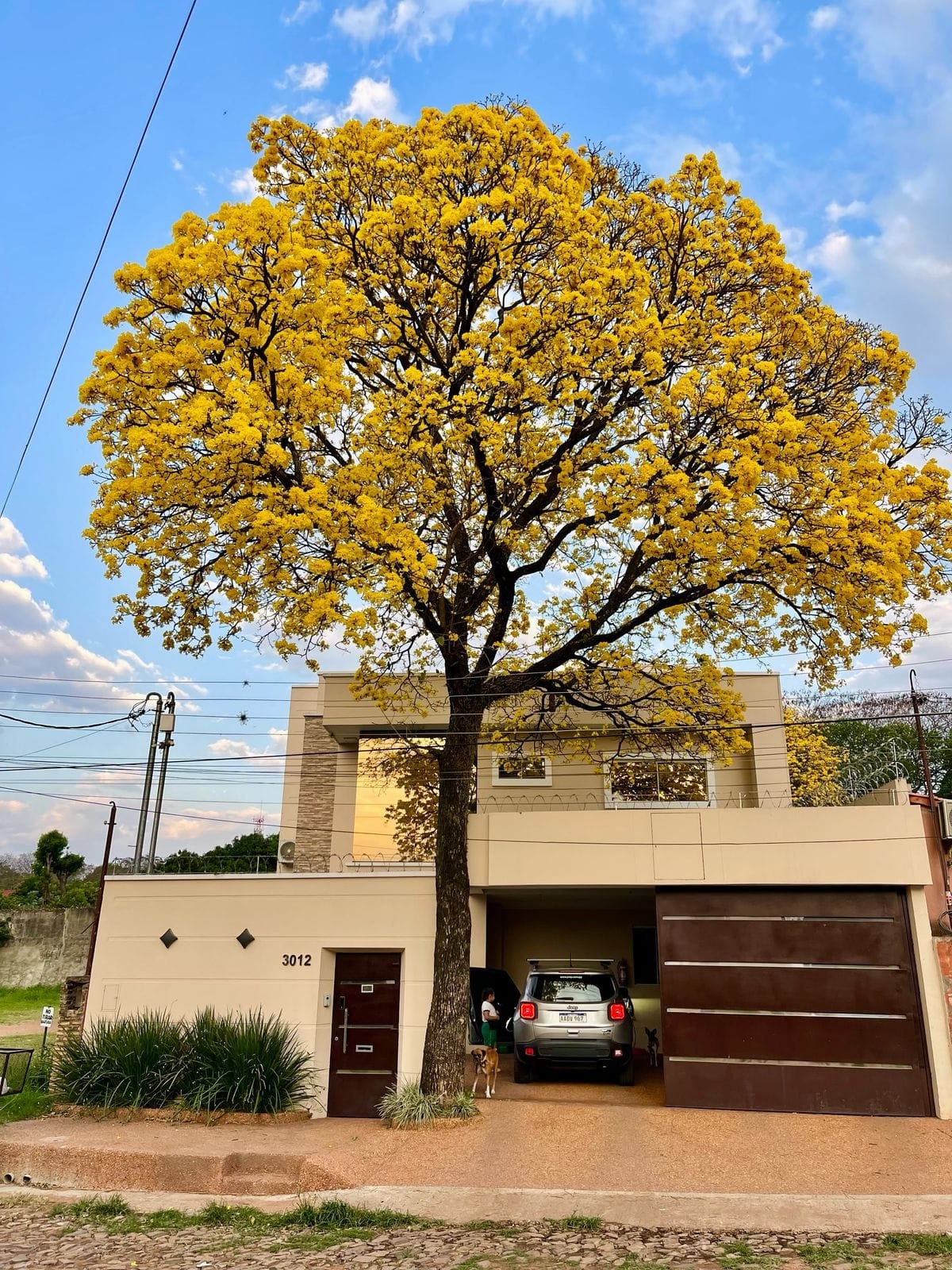 Casa en venta en Lambaré — foto 3