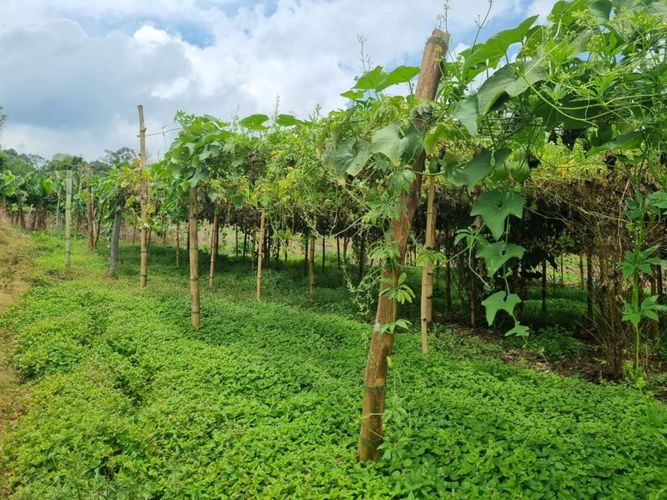 Finca en venta en San Antonio De Prado, Medellín, 120 m² · foto 16 de 19