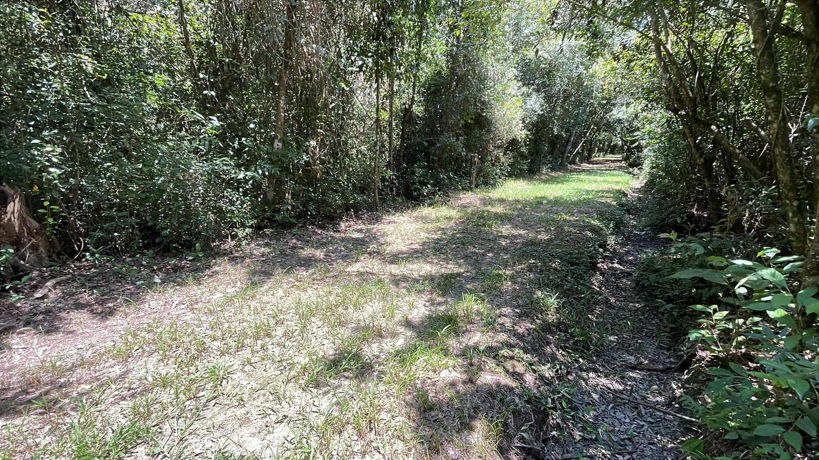Vendo 20 hectáreas en San José de los Arroyos — foto 2
