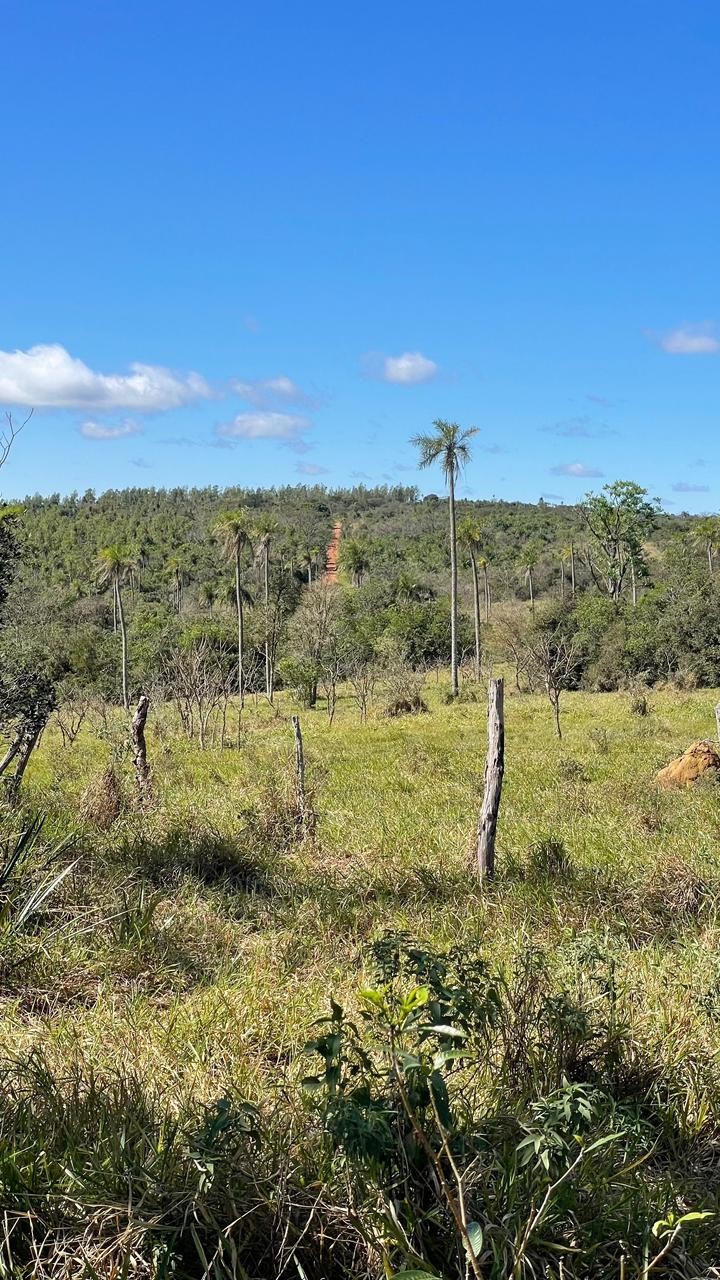 Vendo 16,5 hectáreas en Piribebuy con preciosas vistas — foto 2