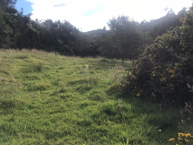 Lote en venta en El Hato, La Calera, 20139 m² · foto 7 de 24
