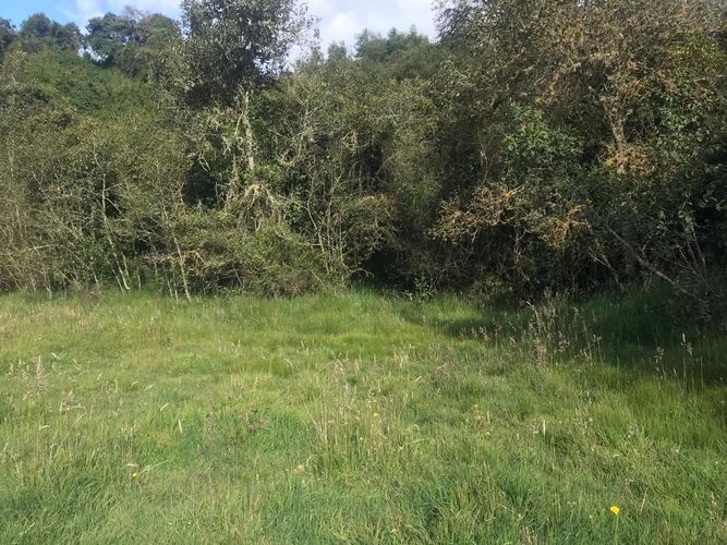 Lote en venta en El Hato, La Calera, 20139 m² · foto 3 de 24