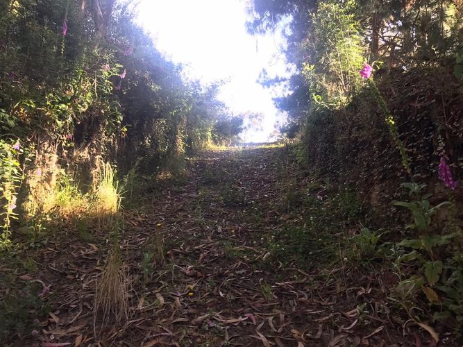 Lote en venta en El Hato, La Calera, 20139 m² · foto 12 de 24
