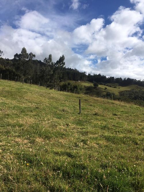 Lote en venta en El Hato, La Calera, 20139 m² · foto 19 de 24
