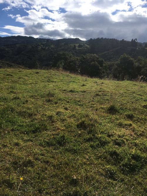 Lote en venta en El Hato, La Calera, 20139 m² · foto 23 de 24