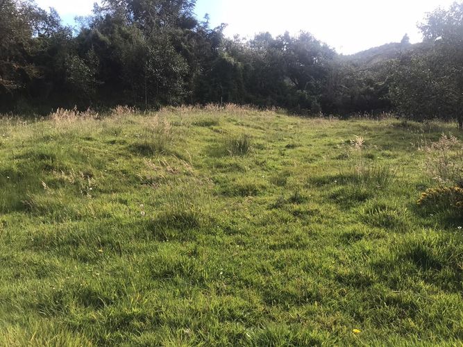 Lote en venta en El Hato, La Calera, 20139 m² · foto 9 de 24