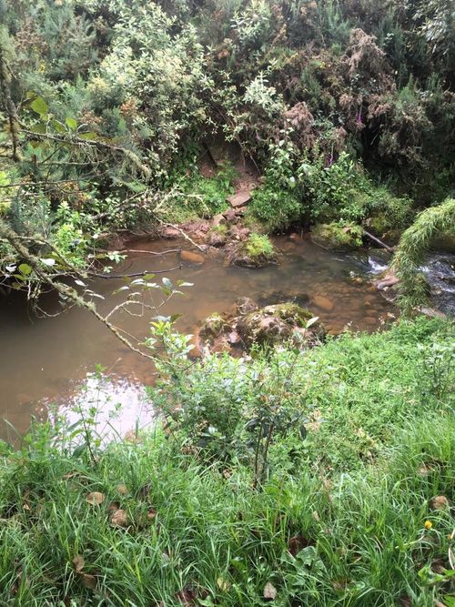 Lote en venta en El Hato, La Calera, 20139 m² · foto 11 de 24