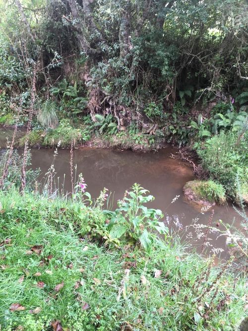 Lote en venta en El Hato, La Calera, 20139 m² · foto 13 de 24