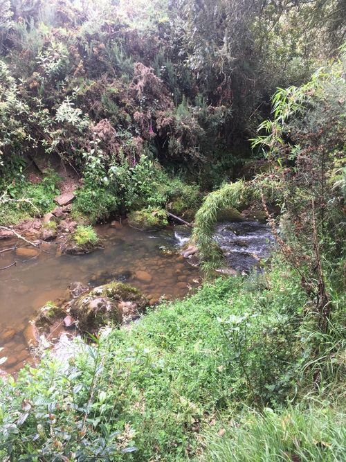 Lote en venta en El Hato, La Calera, 20139 m² · foto 14 de 24
