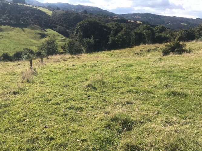 Lote en venta en El Hato, La Calera, 20139 m² · foto 21 de 24