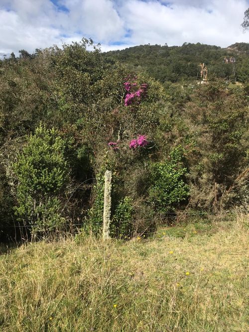 Lote en venta en El Hato, La Calera, 20139 m² · foto 17 de 24