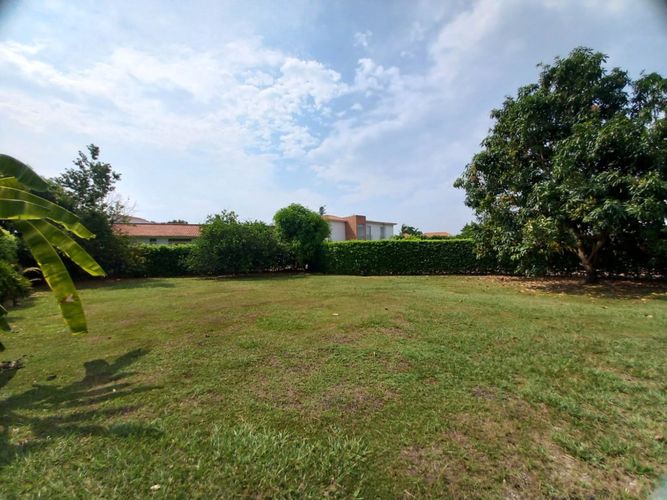 Lote en venta en Ricaurte, Ricaurte · foto 4 de 13