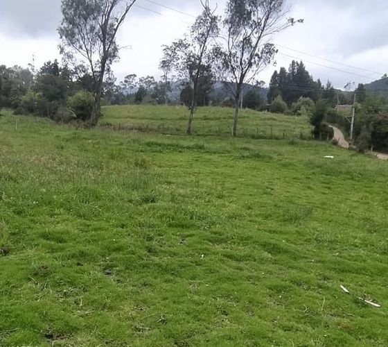 Finca en venta en El Salitre, La Calera, 6241 m² · foto 5 de 14