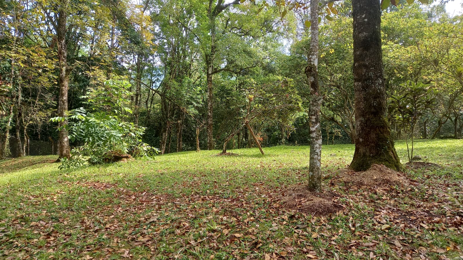 Casa en venta en La Florida, Pereira · foto 18 de 18