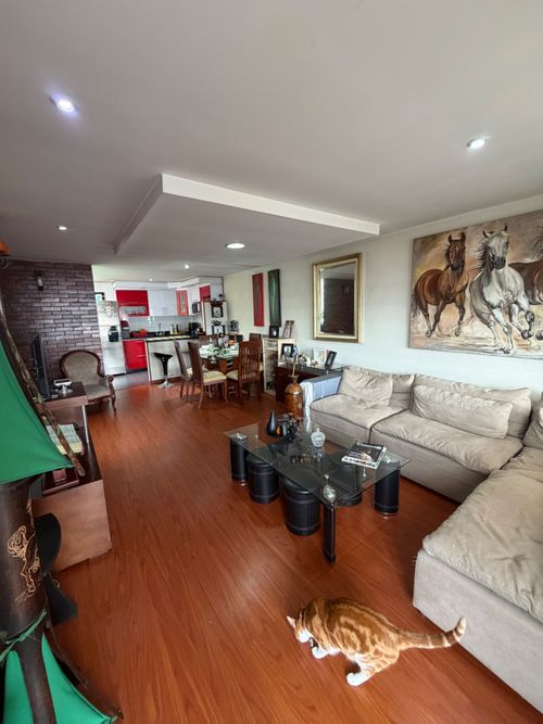 Casa de 6 alcobas en venta en Spring, Bogotá, 480 m² · foto 22 de 24