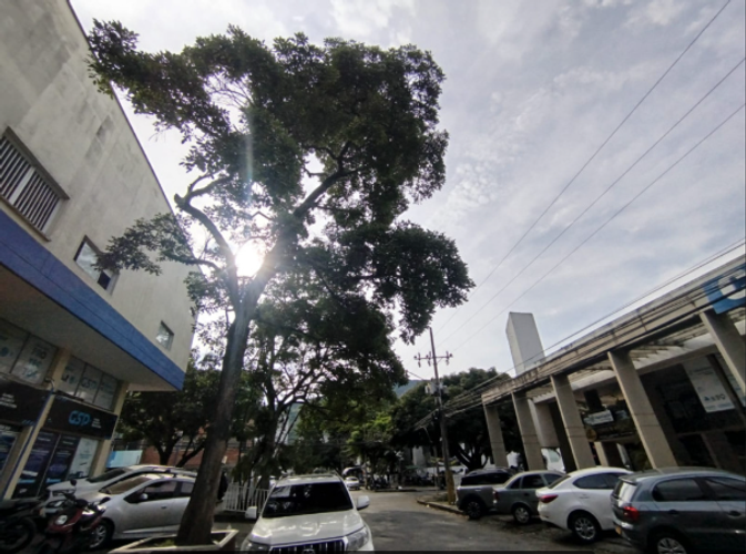 Oficina en arriendo en San Vicente, Cali, 135 m² · foto 14 de 16