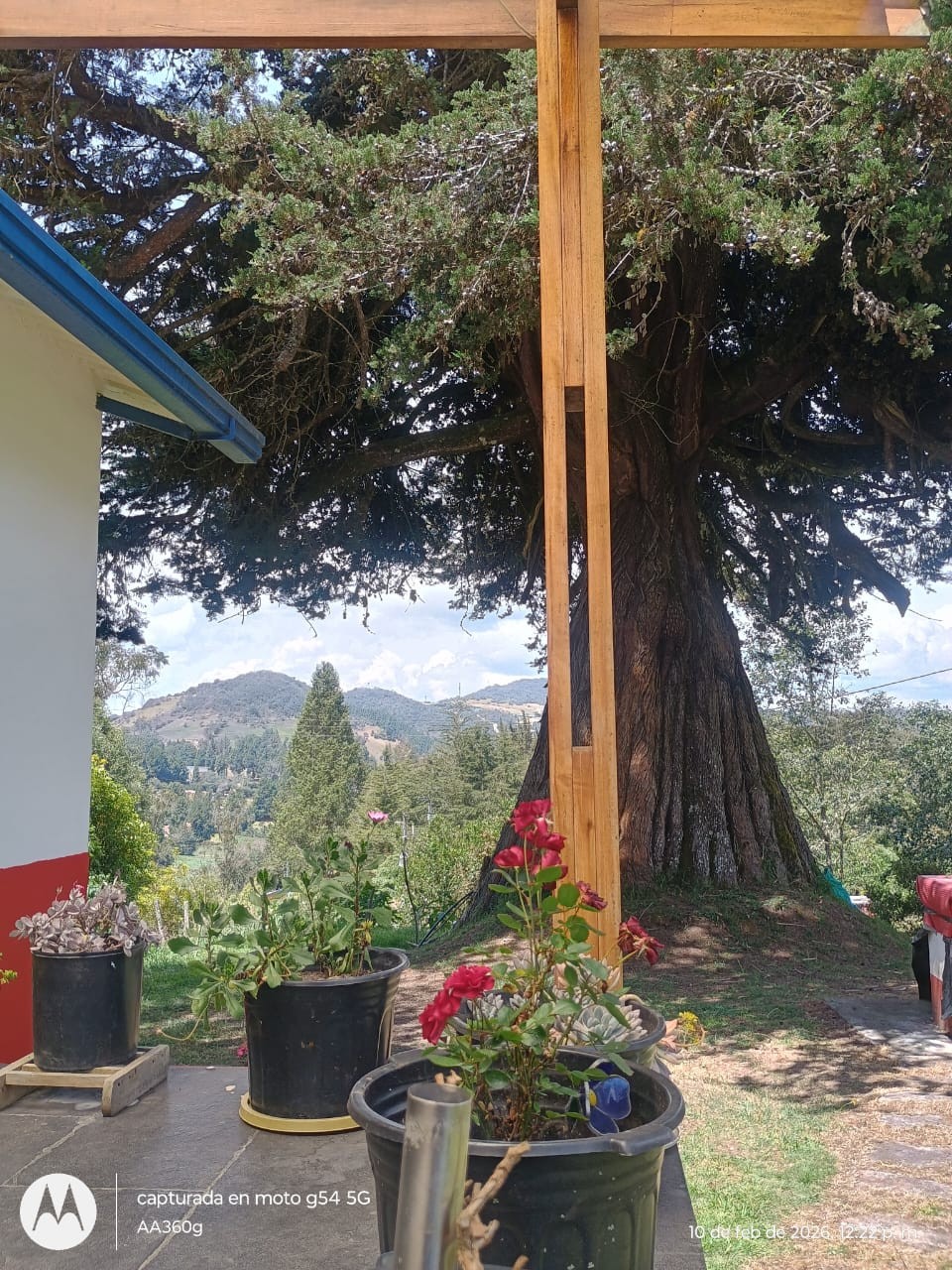 Casa en venta en El Salitre, La Calera · foto 5 de 24