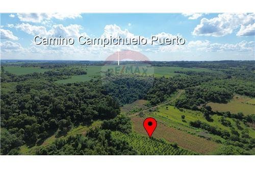 Propiedad en venta con una superficie de mas  de 6 hectáreas ubicada en Cambyretá — foto 2