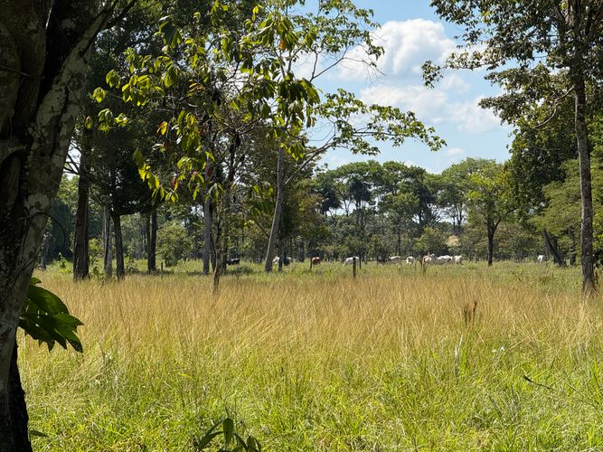 Finca en venta en Alto De Pompeya, Villavicencio, 12800 m² · foto 14 de 24