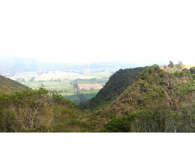 Lote en venta en Yerbabuena, Sopó, 10180 m² · foto 2 de 4