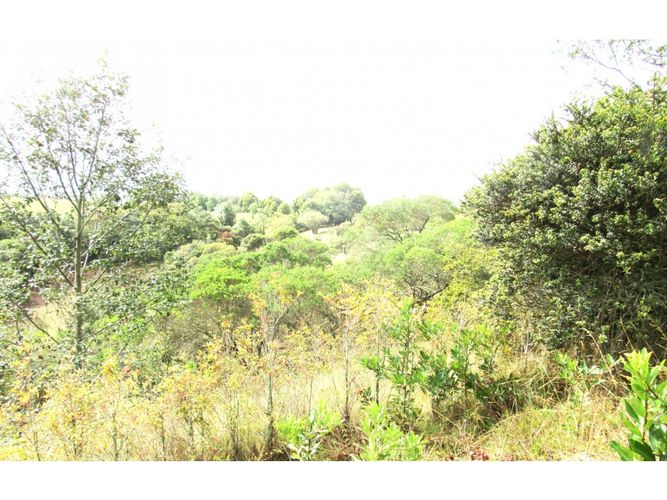 Lote en venta en Yerbabuena, Sopó, 10180 m² · foto 3 de 4