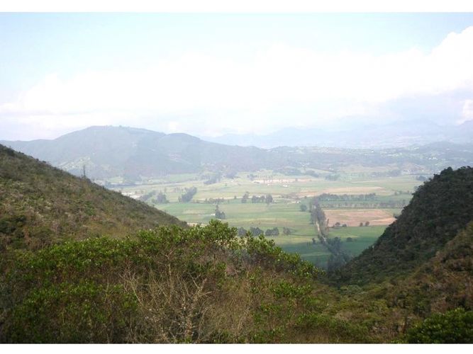 Lote en venta en Yerbabuena, Sopó, 10180 m² · foto 4 de 4