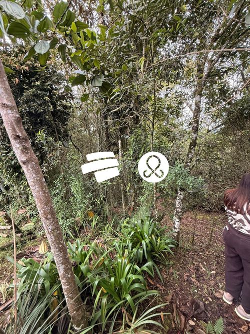 Finca en venta en Santa Elena, Medellín, 10038 m² · foto 23 de 24