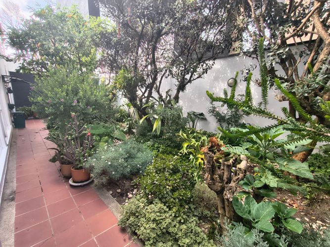 Casa de 3 alcobas en venta en San Patricio, Bogotá, 460 m² · foto 20 de 24