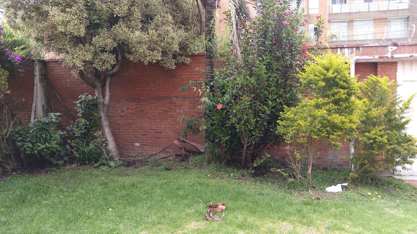 Casa en venta en Cedritos, Bogotá · foto 14 de 24