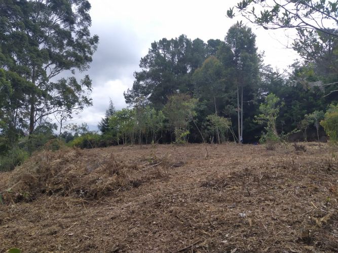 Lote en venta en Centro, Rionegro, 7950 m² · foto 6 de 16