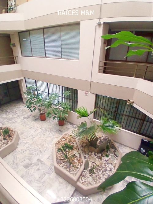Oficina en venta en Sector Plaza De Bolivar, Pereira, 49 m² · foto 12 de 18