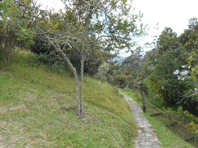 Casa en venta en Vereda El Salitre, La Calera · foto 4 de 23
