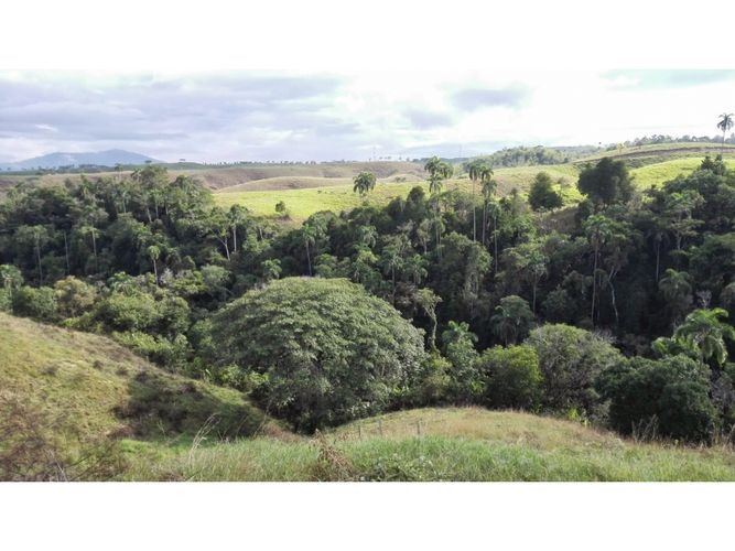 Lote en venta en Cerritos, Pereira, 10500 m² · foto 2 de 10
