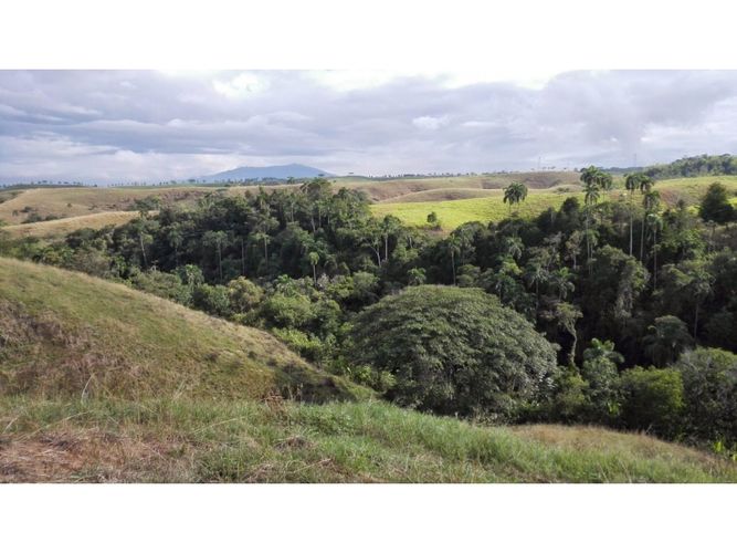 Lote en venta en Cerritos, Pereira, 10500 m² · foto 3 de 10