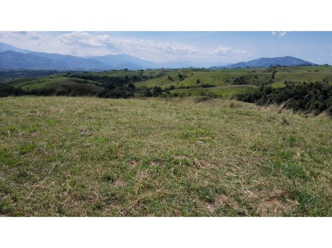 Lote en venta en Cerritos, Pereira, 10500 m² · foto 4 de 10