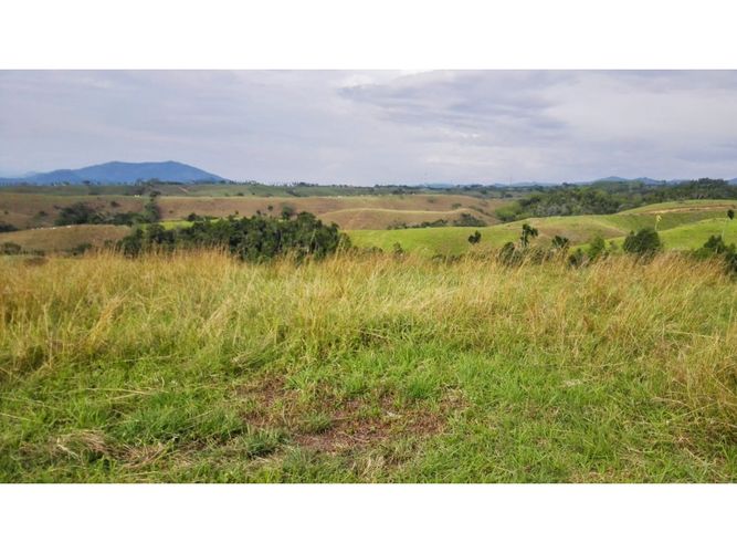 Lote en venta en Cerritos, Pereira, 10500 m² · foto 5 de 10