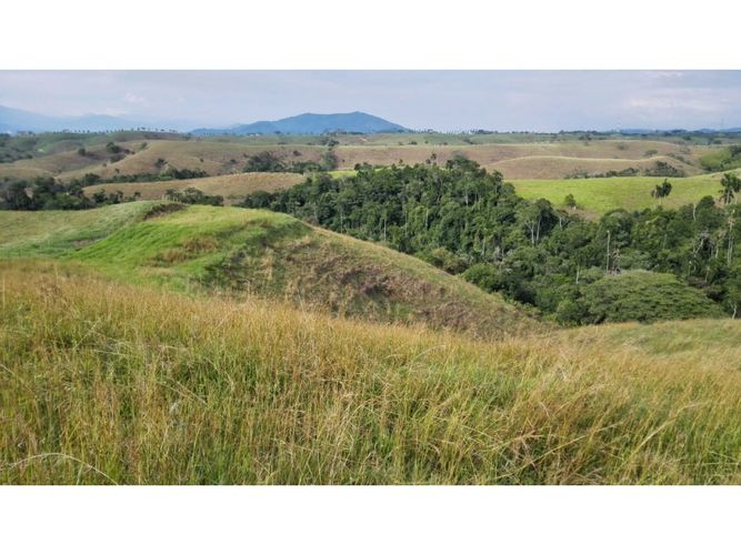 Lote en venta en Cerritos, Pereira, 10500 m² · foto 6 de 10