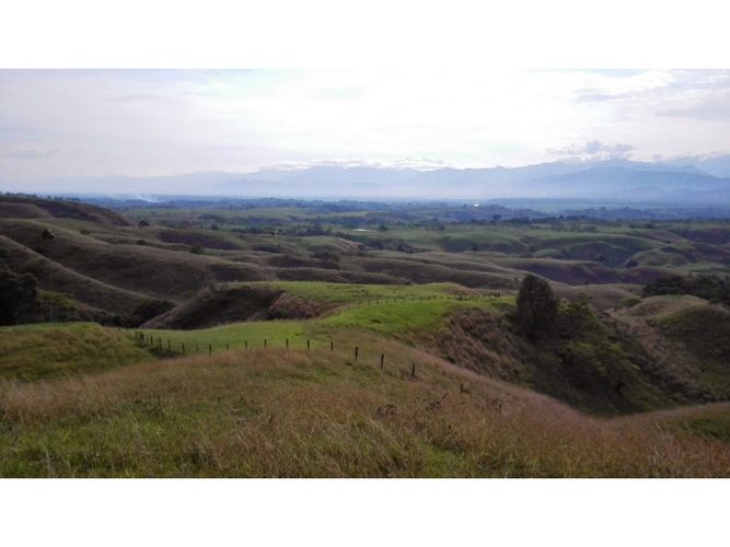Lote en venta en Cerritos, Pereira, 10500 m² · foto 7 de 10