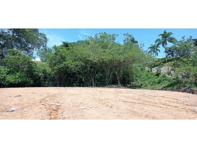 Lote en venta en Cerritos, Pereira, 10500 m² · foto 9 de 10