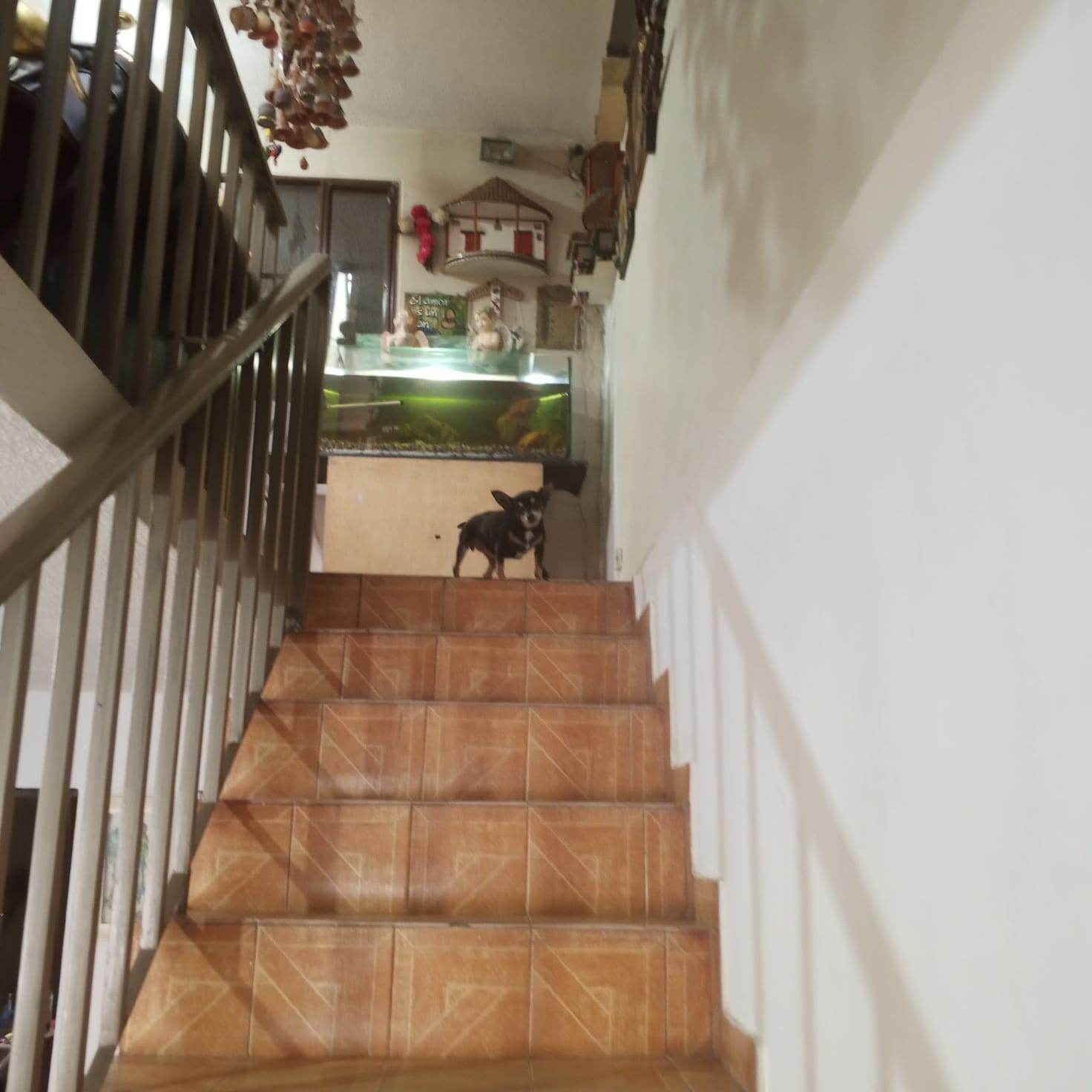 Casa en venta en Prado Veraniego, Bogotá · foto 18 de 24