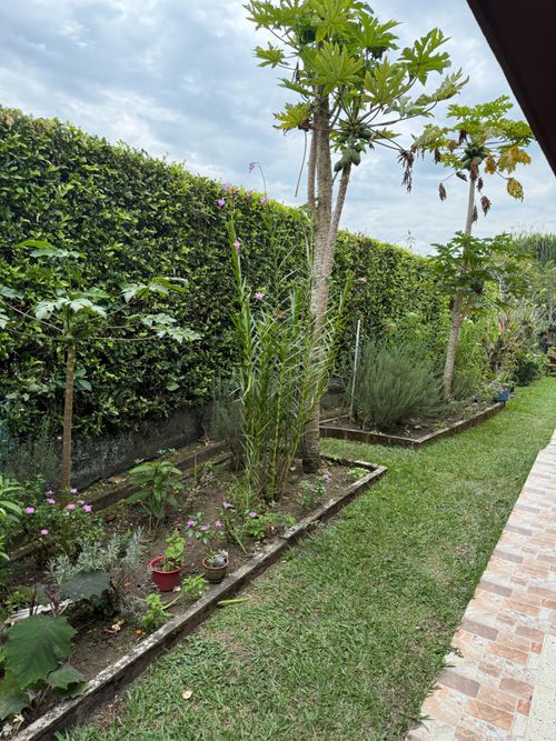 Casa de 3 alcobas en venta en Combia Baja, Pereira, 1800 m² · foto 8 de 22