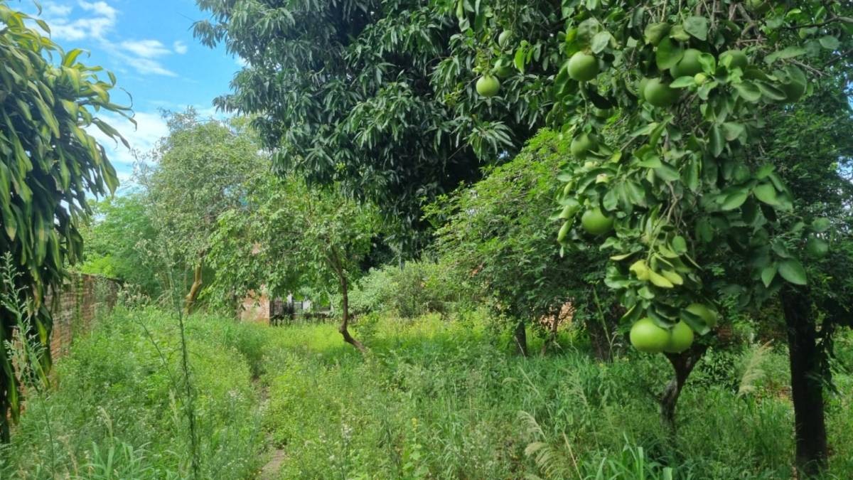 Vendo terreno 866 m2 en Lambaré barrio Pilar — foto 3
