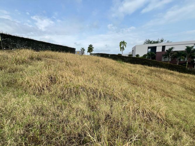 Lote en venta en Cerritos, Pereira, 2955 m² · foto 3 de 10