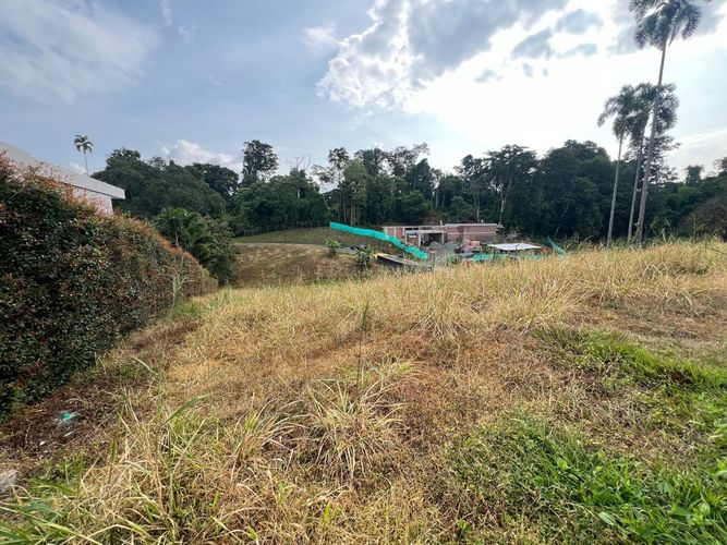 Lote en venta en Cerritos, Pereira, 2955 m² · foto 6 de 10